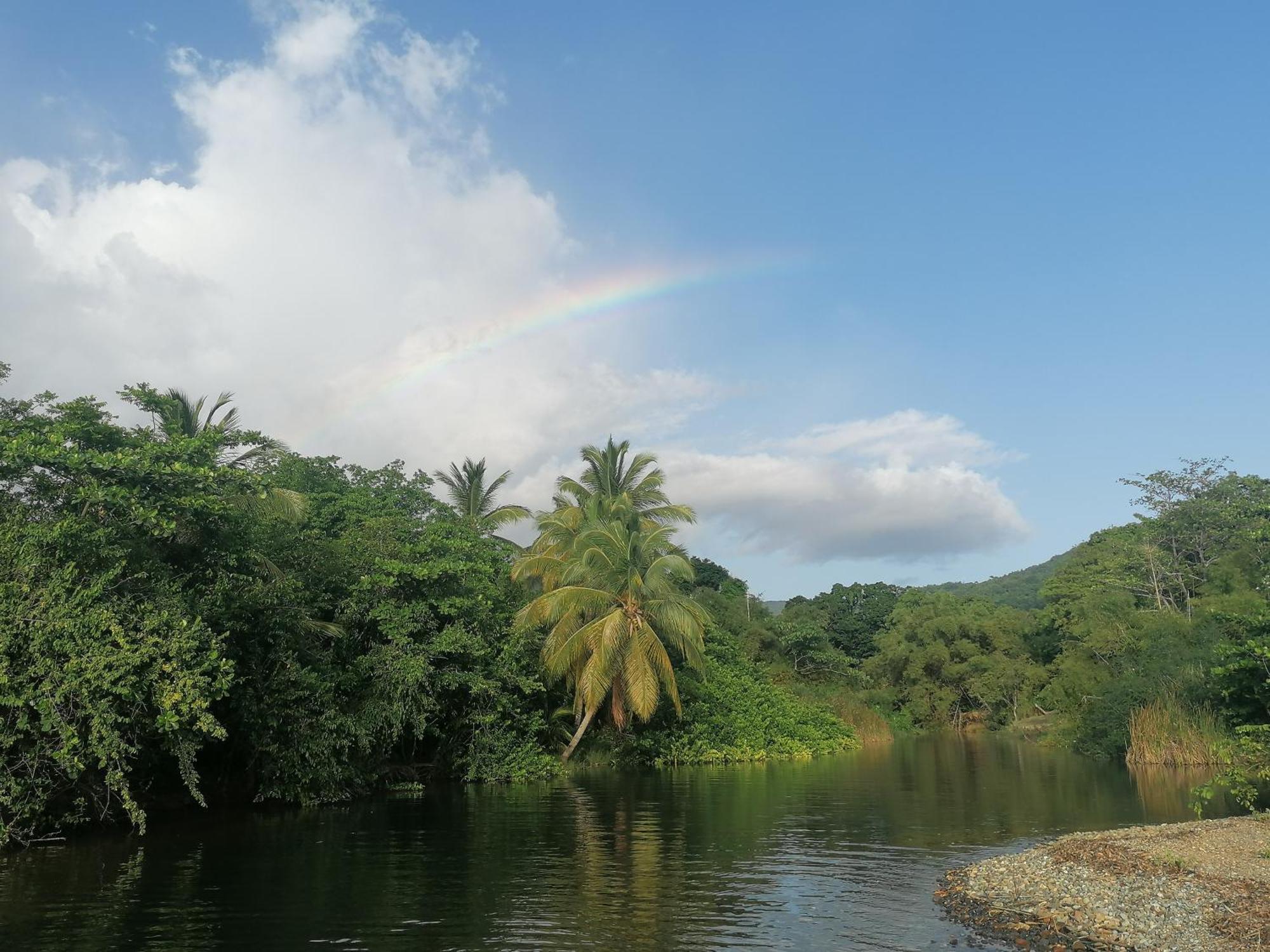 Insolite Arawakane Gites Du Manial Chalet Pointe-Noire Exterior foto